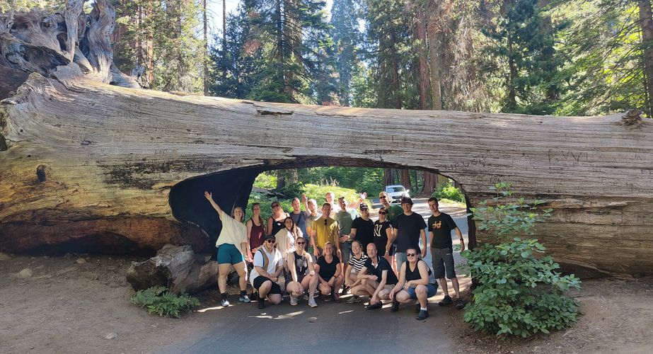 Groepsfoto Sequoia National Park